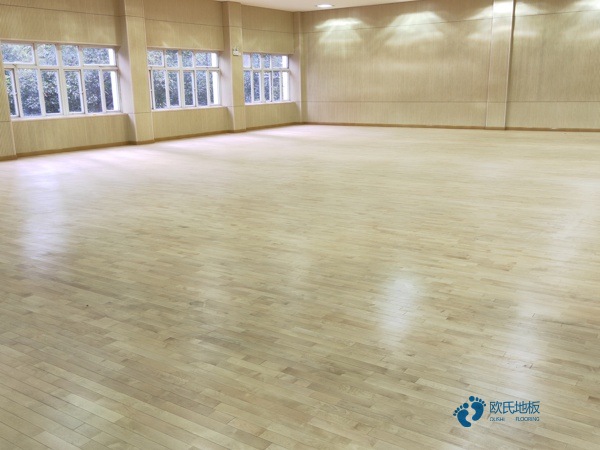 體育專用木地板去體設施網3