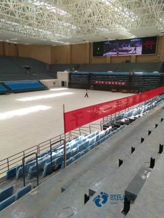 籃球館楓木地板材質2