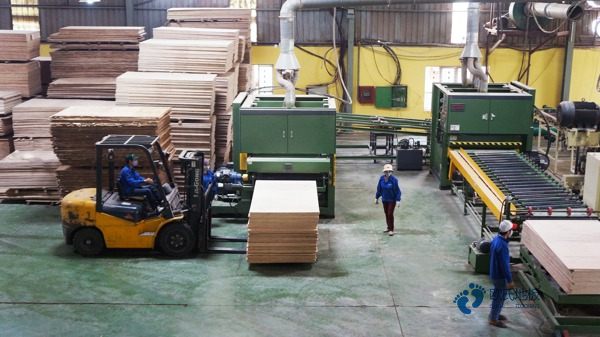 籃球場木地板承重標準是多少2