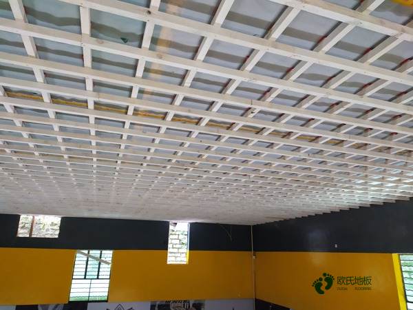 體育運(yùn)動木地板的前景1