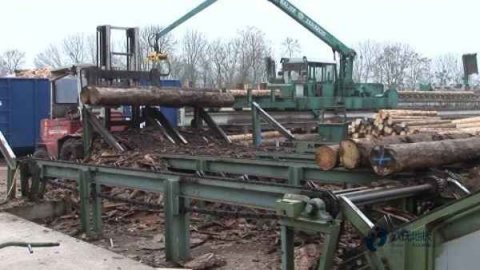 籃球場木地板施工廠家